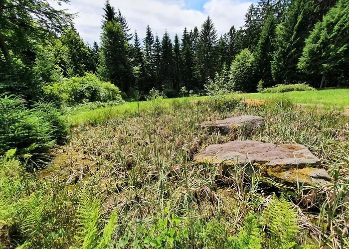 Schreinerhof Appartamento Sankt Oswald-Riedlhuette